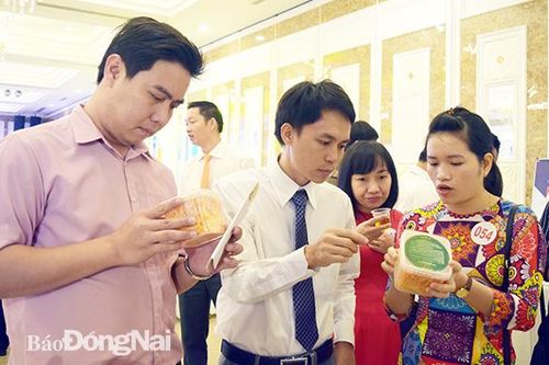 Khởi nghiệp với dự án nuôi trồng đông trùng hạ thảo
