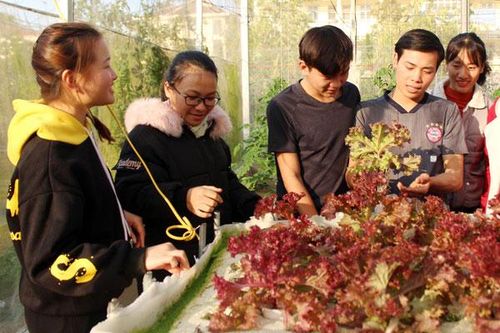 Làm 'nông dân' trong trường học