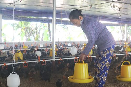 Hội Nông dân với công tác dân vận