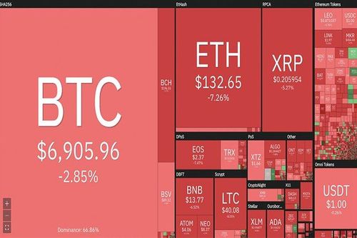 Bitcoin 'cháy rực' giữa 'biển lửa' thị trường