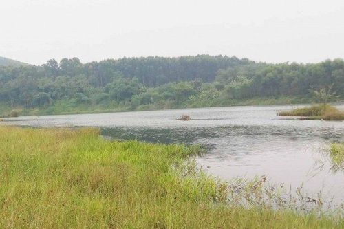 Khai thác cát bất thành, doanh nghiệp 'chia tay đòi quà' chính quyền
