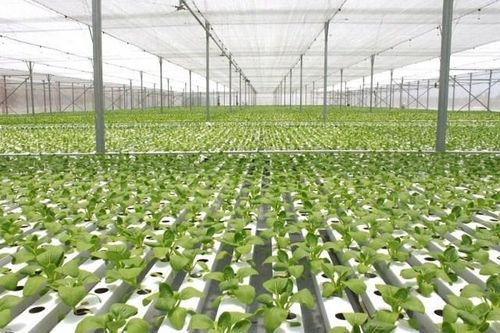 Ba nguồn kinh phí thực hiện hoạt động khuyến nông
