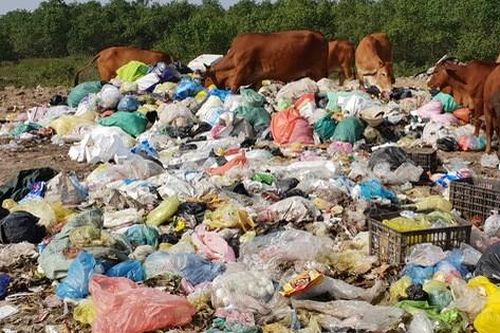 Kinh hoàng những bãi rác 'khổng lồ' nằm ngay trên đê chống lũ