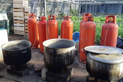 Phát hiện 5 người Việt sống 'tù túng, khổ sở' trong vườn ươm ở Anh