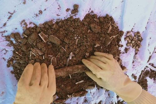 Đào đất làm đường, phát hiện 2 hài cốt liệt sĩ kèm nhiều di vật