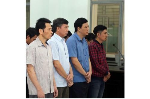 'Chống hạn' trên giấy, giám đốc cùng 'bộ sậu' chia nhau án tù