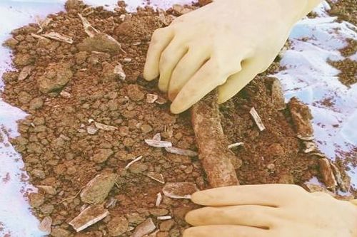 Thi công làm đường, phát hiện 2 hài cốt liệt sỹ