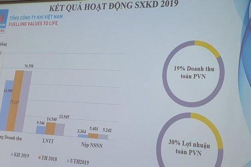 GAS lên kế hoạch năm 2020 lợi nhuận trước thuế 8.294 tỷ đồng