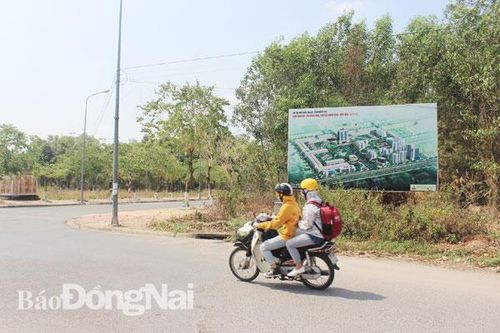 Rà soát kỹ, thu hồi đúng