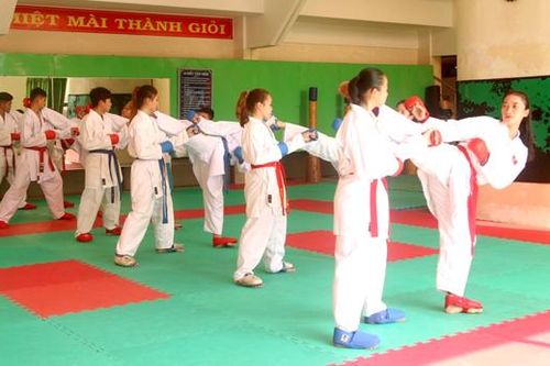 Karate Đồng Tháp hướng đến Đại hội Thể dục thể thao đồng bằng sông Cửu Long năm 2020