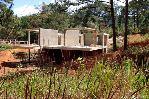 Điều tra vụ phá rừng tại Khu du lịch Quốc gia Hồ Tuyền Lâm
