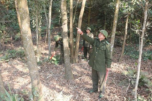 Yên Lập chủ động phòng cháy chữa cháy rừng mùa hanh khô