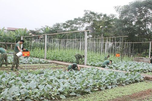 Hiệu quả xây dựng chính quy trong LLVT tỉnh