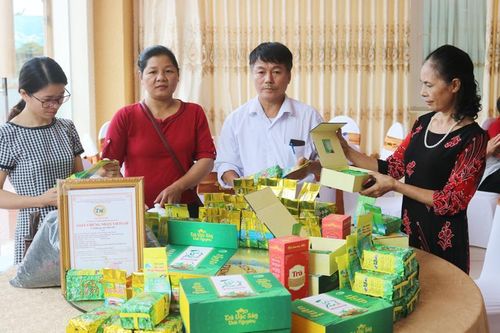 Một nông dân tâm huyết với chè