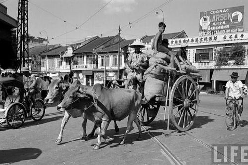 Chuyện Đông chuyện Tây cùng học giả An Chi