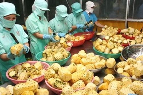 Việt Nam có 4 mặt hàng nông lâm thủy sản xuất khẩu trên 3 tỷ USD