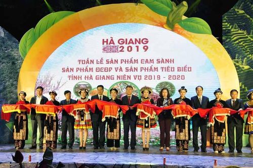 Khai mạc Tuần lễ cam sành, các sản phẩm OCOP tỉnh Hà Giang