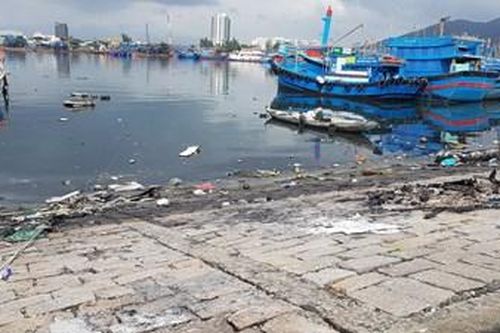 Nhếch nhác âu thuyền và cảng cá Thọ Quang