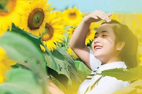 Nghệ An sẵn sàng cho Lễ hội hoa hướng dương 2019