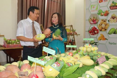 Đẩy mạnh xuất khẩu các mặt hàng nông, thủy sản của An Giang