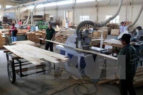Xuất khẩu lâm sản năm 2019 dự kiến tăng 20%