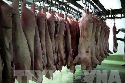 Trung Quốc dự định bán ra 40.000 tấn thịt lợn từ kho dự trữ