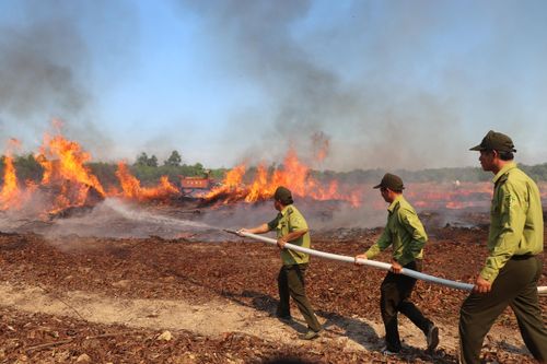 Diễn tập chữa cháy rừng mùa khô