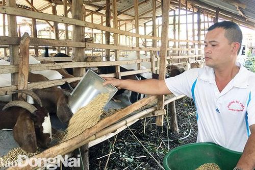 Vượt qua thất bại khi khởi nghiệp