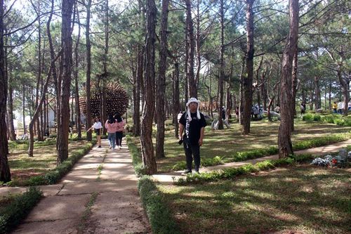 Công viên Rừng hoa đi vào phục vụ du khách