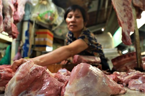 Thủ tướng yêu cầu bình ổn giá thịt lợn dịp Tết