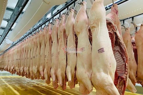 Phải nghiêm túc kiểm điểm, Bộ Nông nghiệp báo cáo khẩn lên Thủ tướng