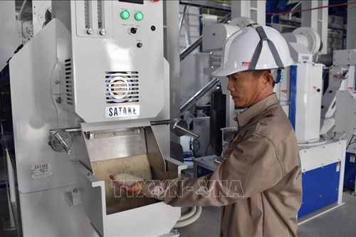 Xây dựng chiến lược nâng cao giá trị nông sản - Bài cuối: Thích ứng yêu cầu hội nhập