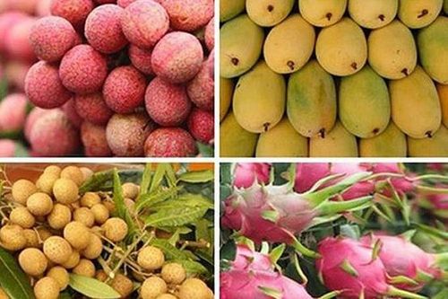 Cơ hội mở rộng xuất khẩu rau quả vào EU