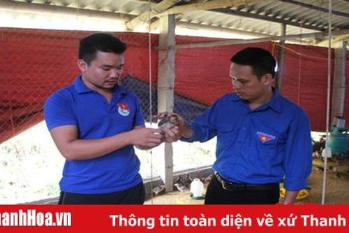 Thanh niên vùng khó làm kinh tế giỏi