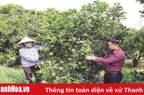 Đánh giá sự hài lòng của người dân trong xây dựng nông thôn mới