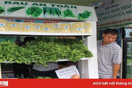 Ứng dụng công nghệ cao trong sản xuất nông sản sạch