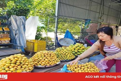 Tri Tôn tập trung nâng cao giá trị nông nghiệp