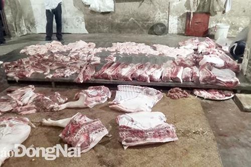 Bắt quả tang cơ sở giết mổ heo lậu tại xã Gia Tân 3