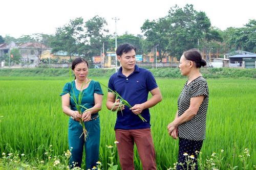 Tinh giản người hoạt động không chuyên trách: Bảo đảm hiệu lực, hiệu quả
