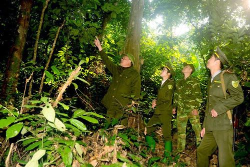 Xây dựng lực lượng kiểm lâm vững mạnh
