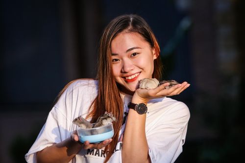 Chuột hamster bán chạy trước Tết