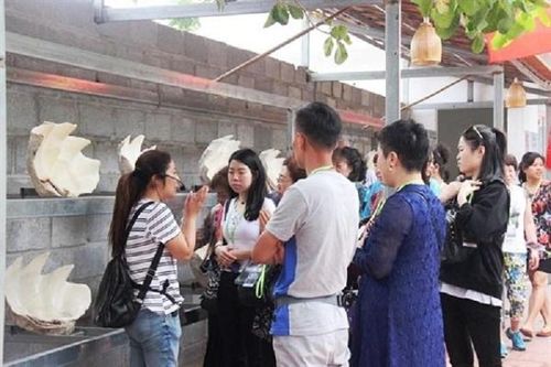 Khánh Hòa: Chuyển hồ sơ làm giả thẻ HDV du lịch đến cơ quan điều tra