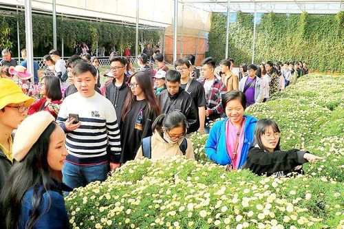 Khai mạc Festival hoa Đà Lạt 2019