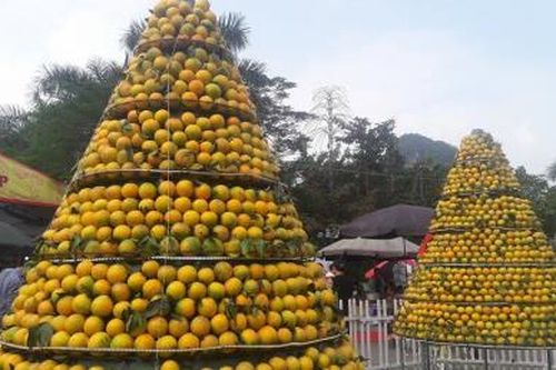 Khai mạc lễ hội cam Hà Tĩnh lần thứ 3