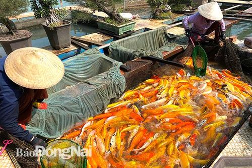 Làng nghề vào vụ Tết