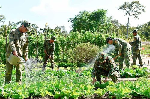 Dấu ấn người lính thời bình - Kỳ 1: Xây dựng thế trận lòng dân vững chắc