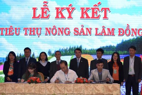 Thúc đẩy liên kết gắn với thu hút đầu tư vào nông nghiệp