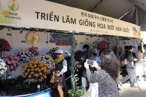 Nhiều rau, hoa đặc sản tại Phiên chợ rau hoa Đà Lạt