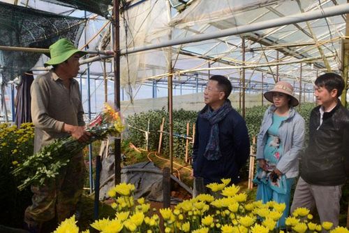 Làng hoa 50 năm tuổi Thái Phiên mở cửa đón khách
