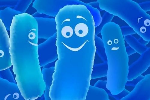 Có cần bổ sung probiotic sau khi uống kháng sinh?